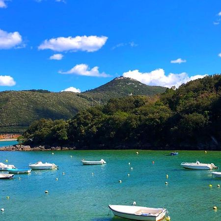 Sokaire De Urdaibai Junto A Mundaka Apartment Sukarrieta ภายนอก รูปภาพ
